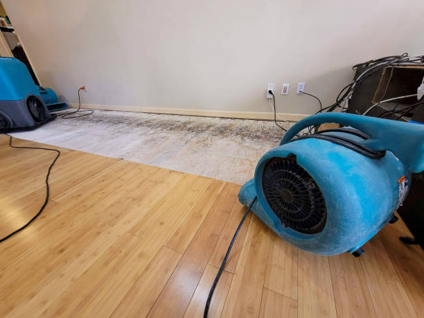 Professional Water Damage Repair technician working in Ansted, WV